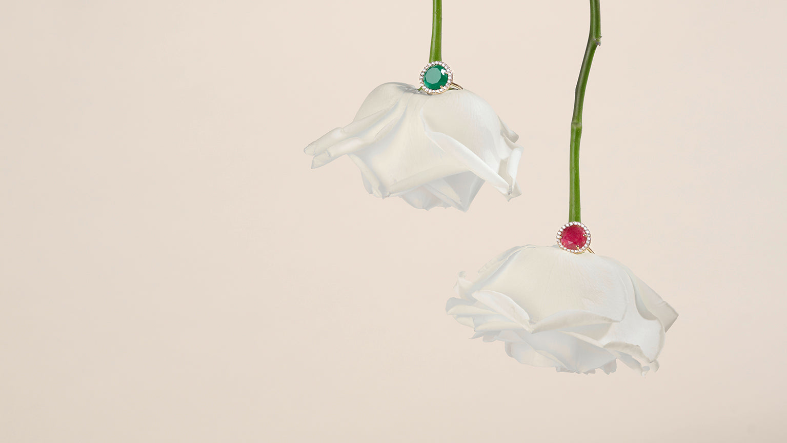 Bestsellers Bagues