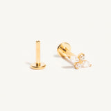 Piercing Lys