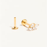 Piercing Epi